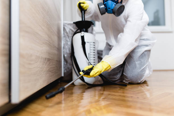 Professional Pest Control in Biloxi, MS