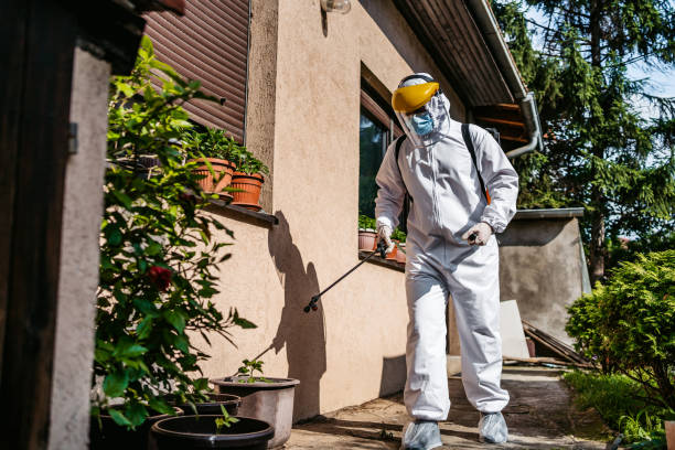 Best Rodent Control Near Me  in Biloxi, MS