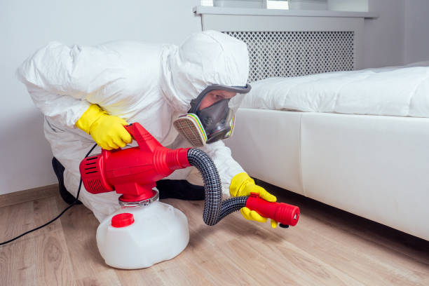 Pest Control Cost in Biloxi, MS