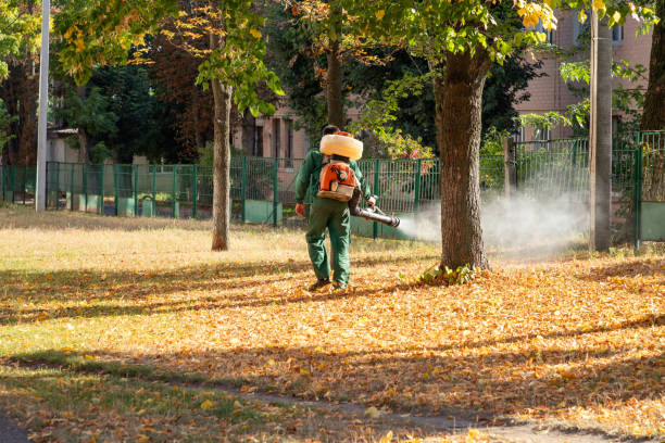 Wasp Removal Services in Biloxi, MS