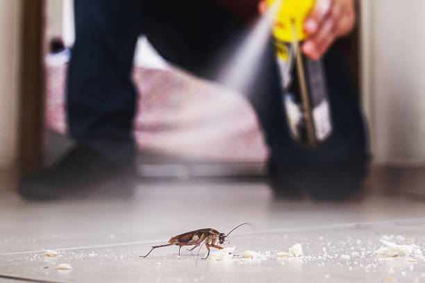 Best Bed Bug Extermination  in Biloxi, MS